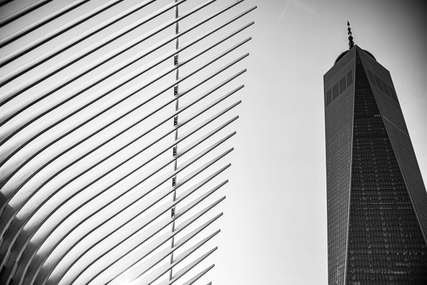 Abstrakte Ansicht des Oculus-Dachs